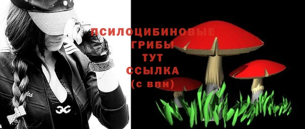 скорость Белокуриха