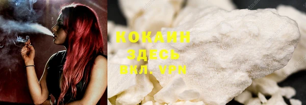 твердый Протвино