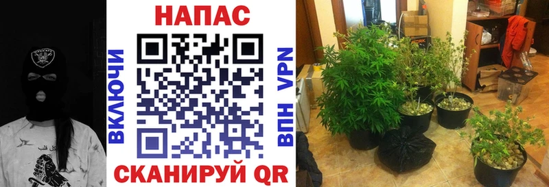 ссылка на мегу ссылки Волосово Бошки Шишки гибрид где можно купить